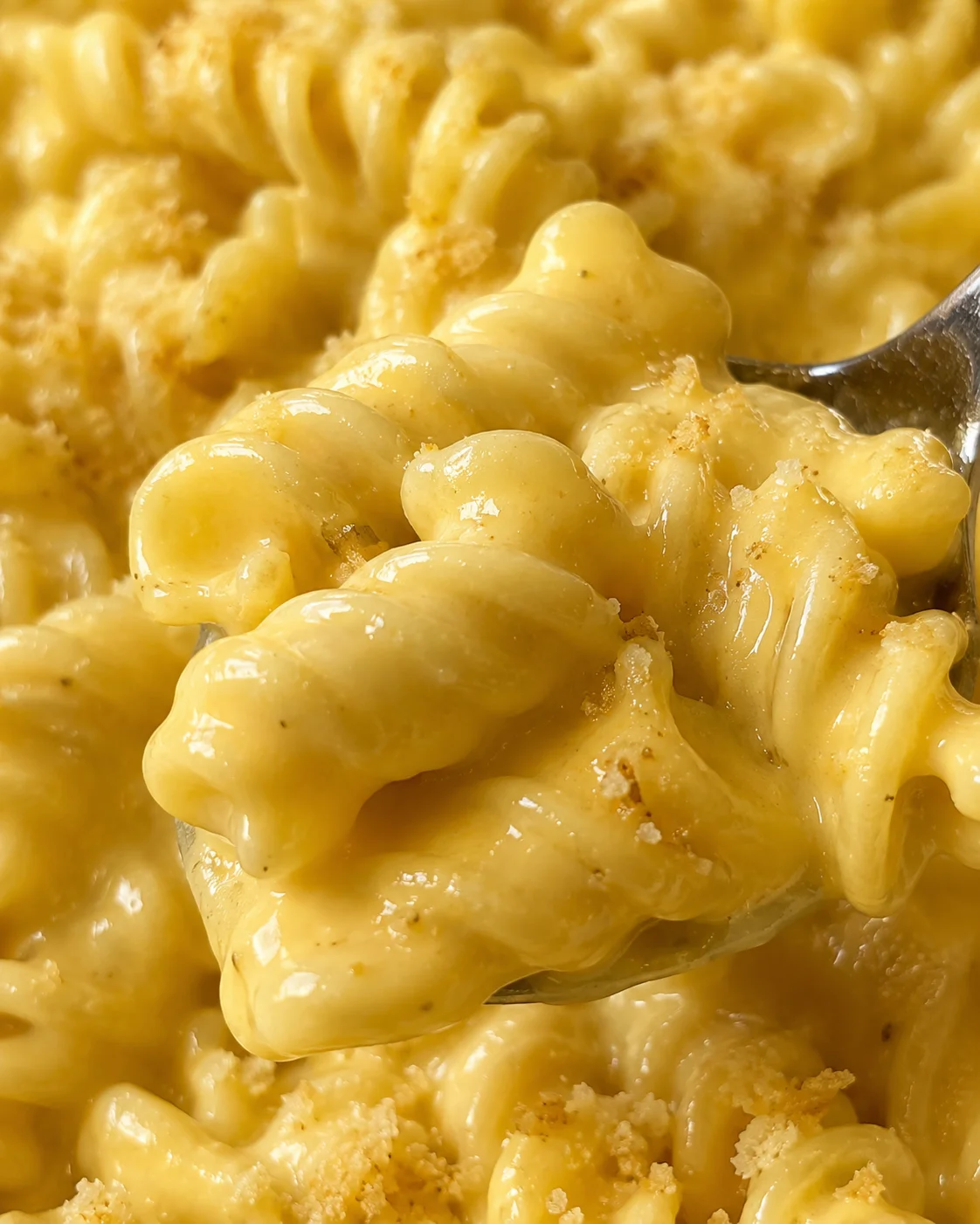 Macro view of rotini showing creamy cheese sauce and toasted breadcrumb bits from cheesy crock pot rotini