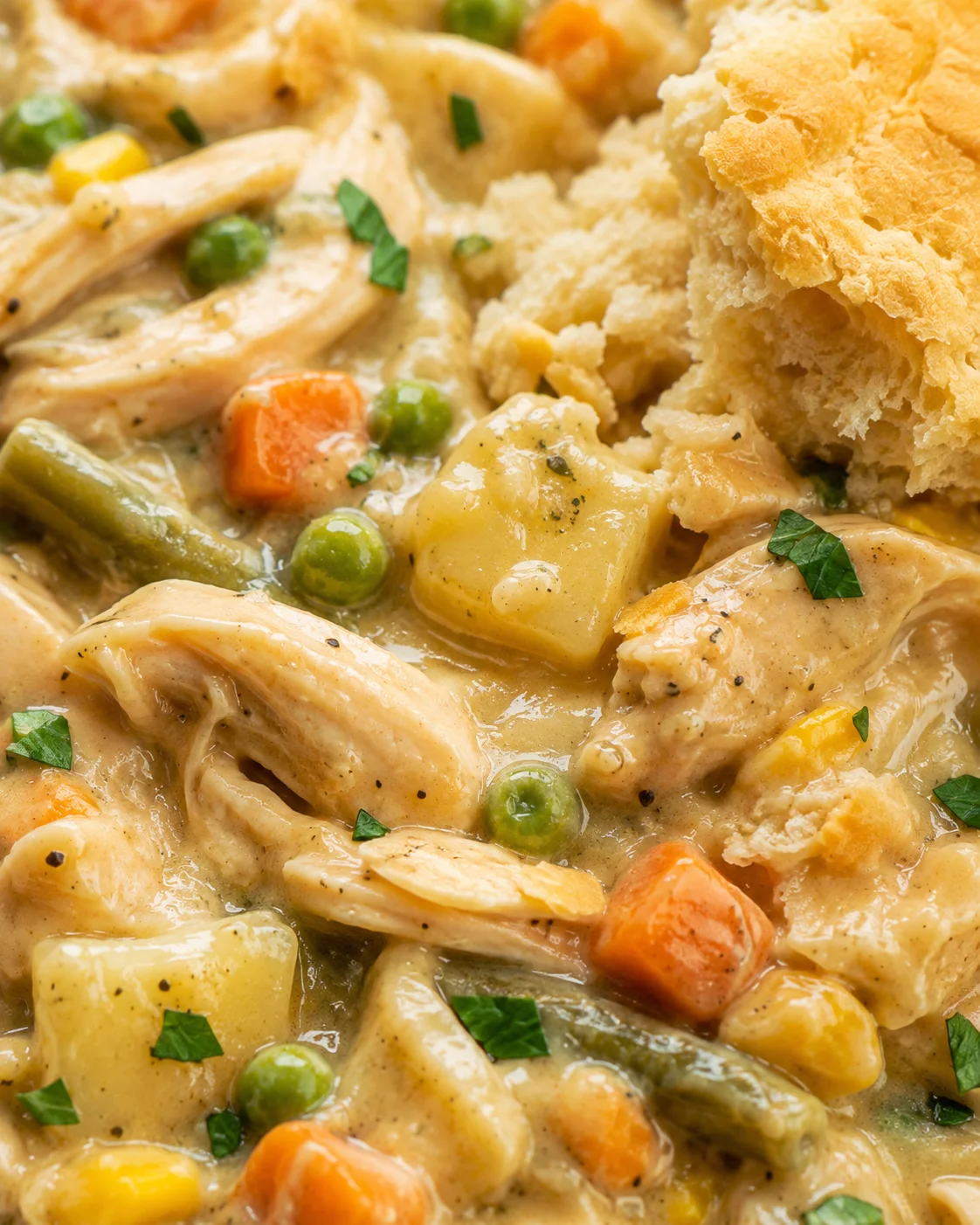 Macro detail of shredded chicken, diced potatoes, peas and torn biscuit crumb in creamy sauce