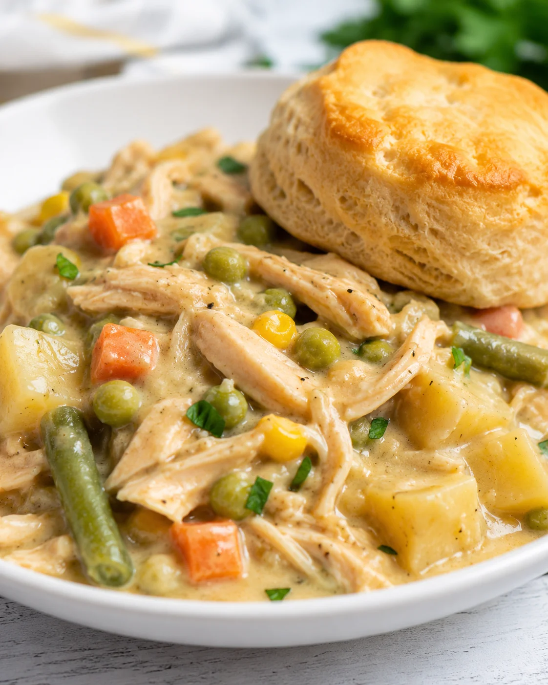 Plated crock pot chicken pot pie with shredded chicken, mixed vegetables in creamy gravy and a flaky biscuit