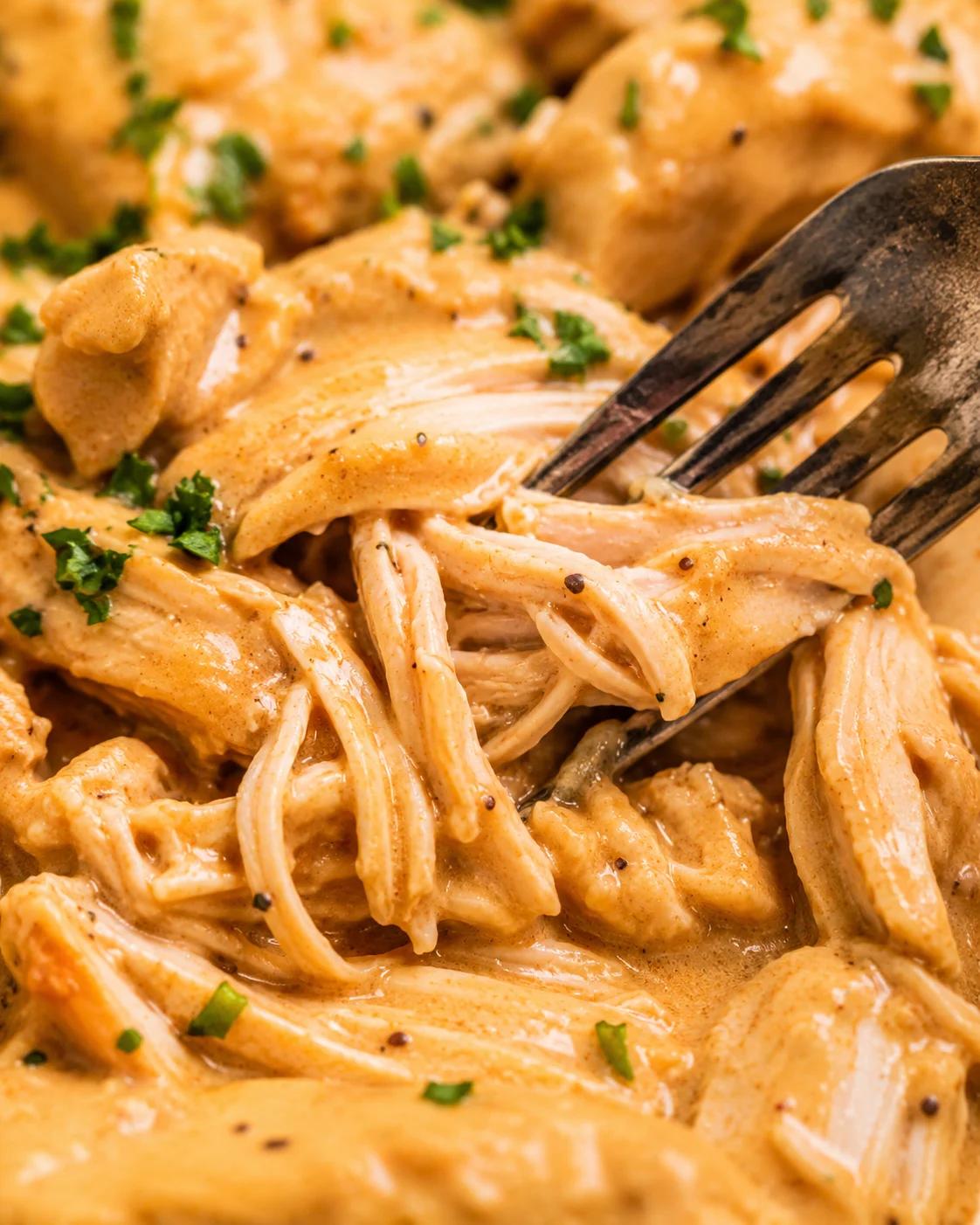Fork pulling apart shredded Crock Pot Honey Mustard Chicken showing tender interior